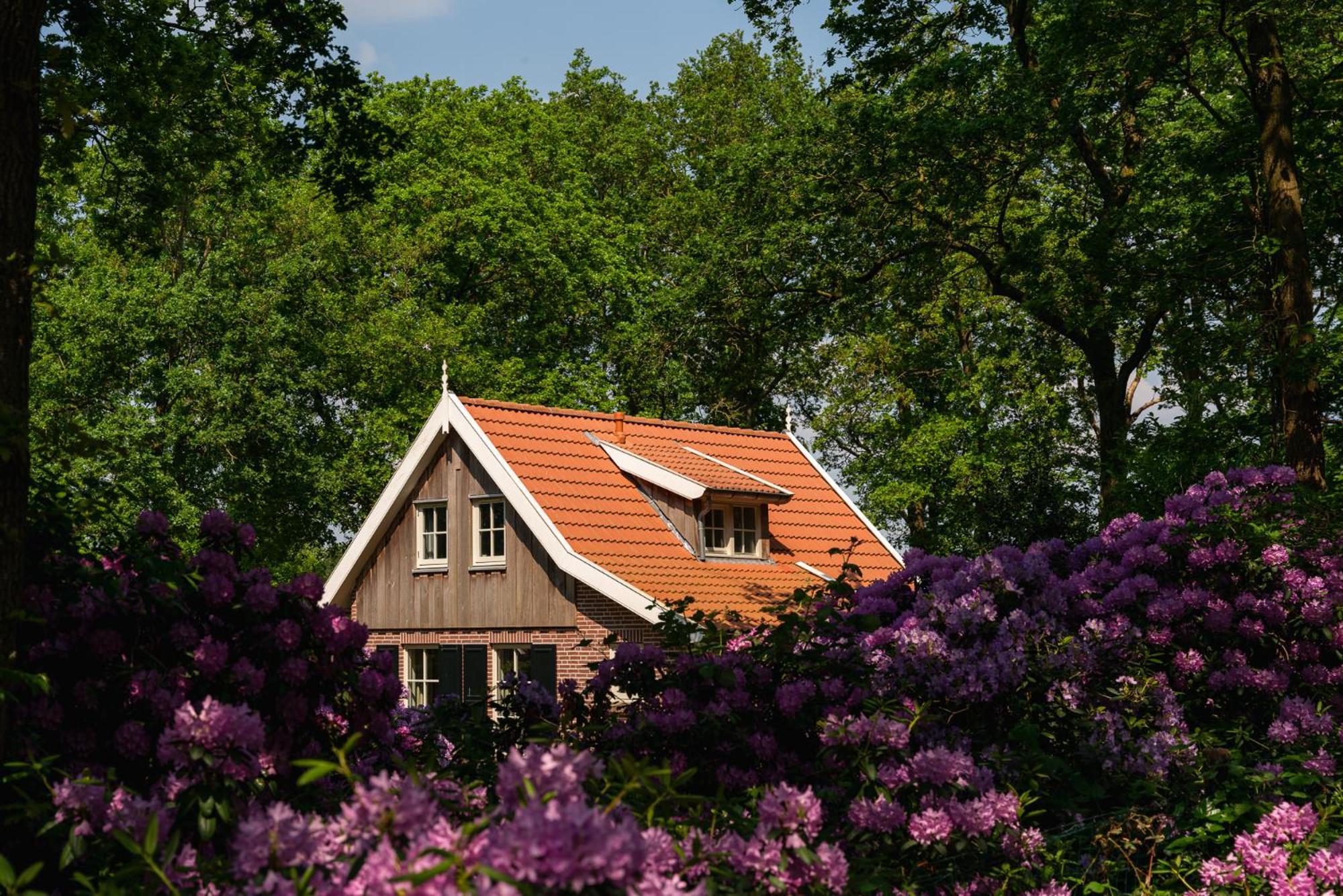 De Bosuil Villa Hoge-Hexel Exteriör bild