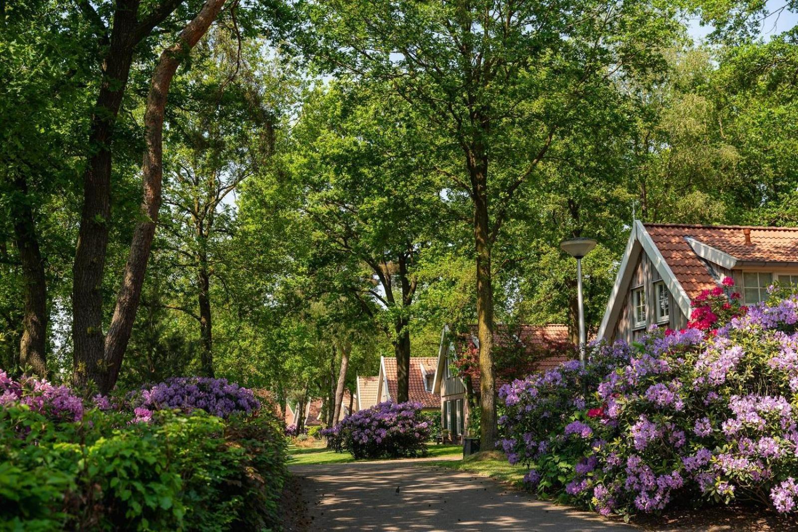 De Bosuil Villa Hoge-Hexel Exteriör bild