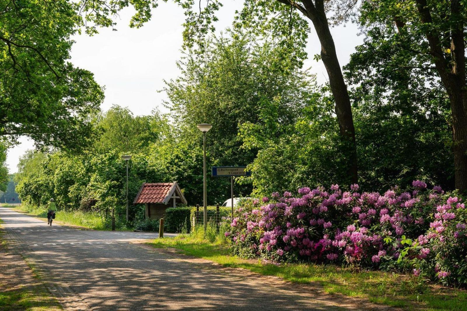 De Bosuil Villa Hoge-Hexel Exteriör bild